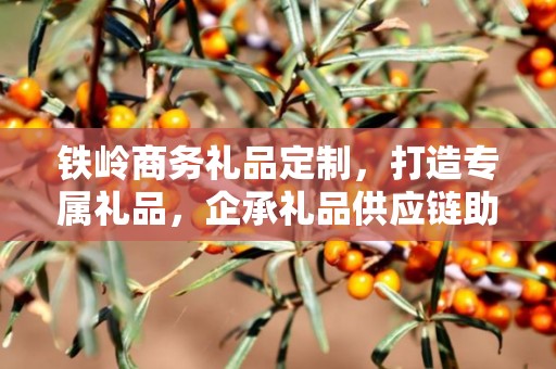 铁岭商务礼品定制，打造专属礼品，企承礼品供应链助力商务往来